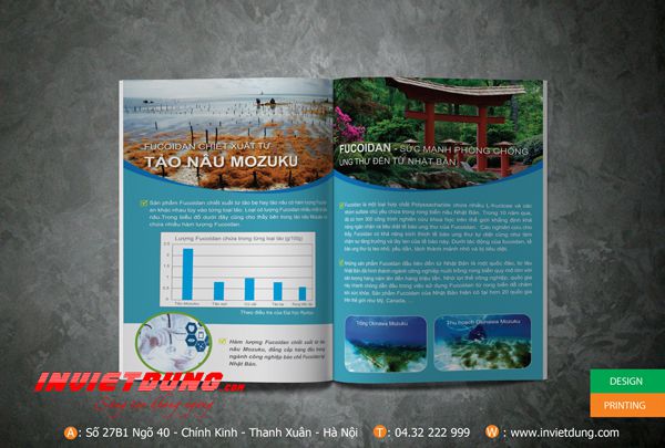 Mẫu catalouge Fucoidan, Mẫu catalogue giới thiệu sản phẩm đẹp ấn tượng
